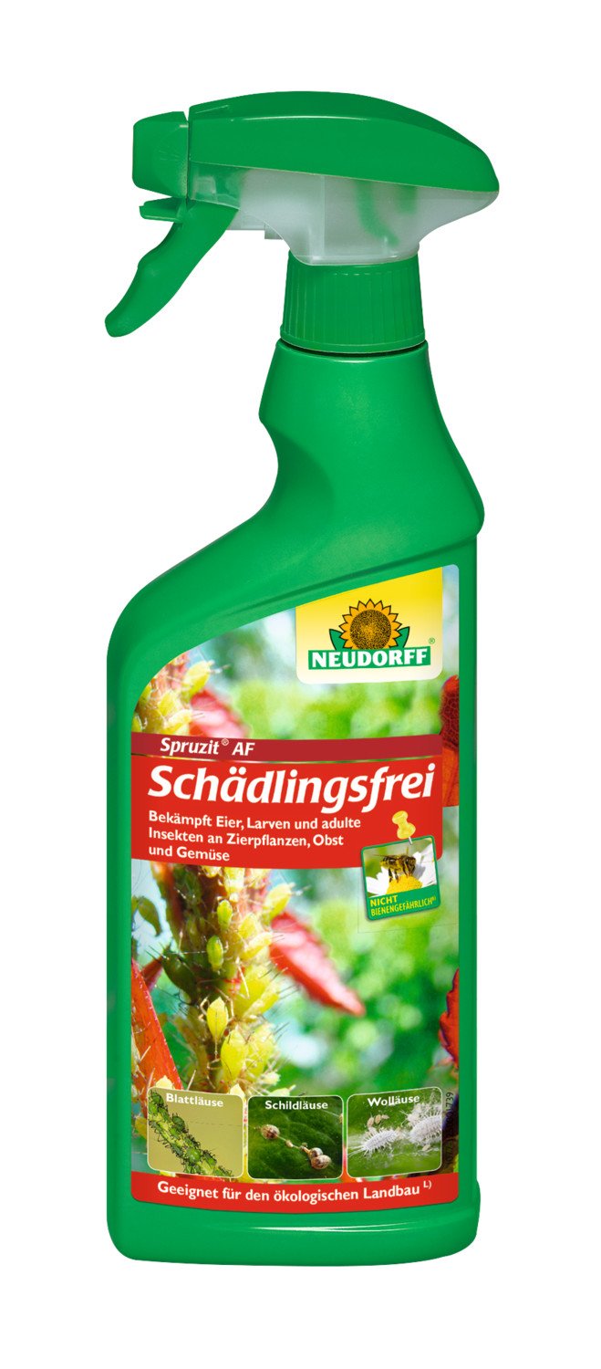 Neudorff Spruzit AF Schädlingsfrei Zierpflanzen 500 ml